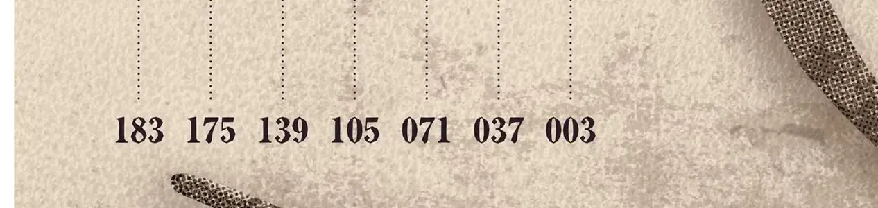 Ts Medic's Battlefield Diary Chap 1 - Next Chap 2