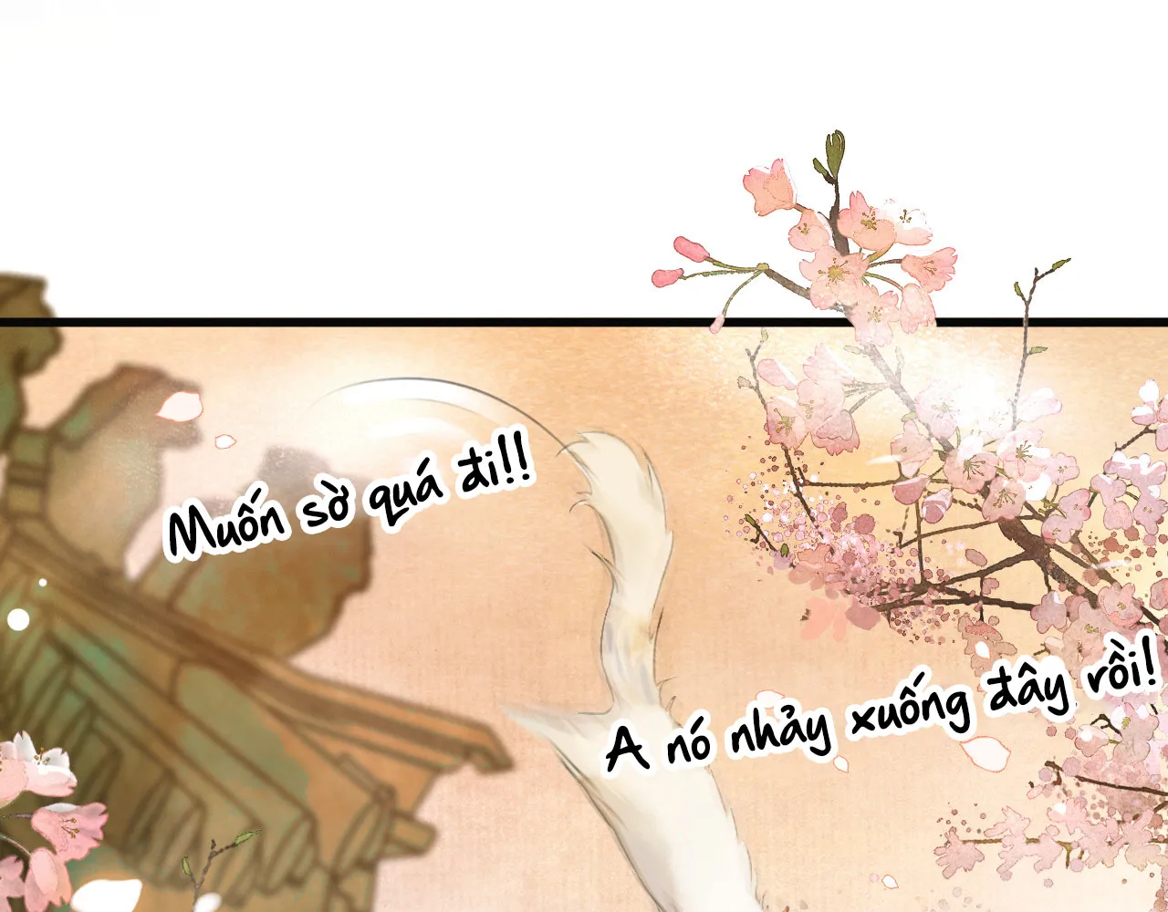 Tử cấm - Ngự miêu phòng Chap 0 - Next Chap 1