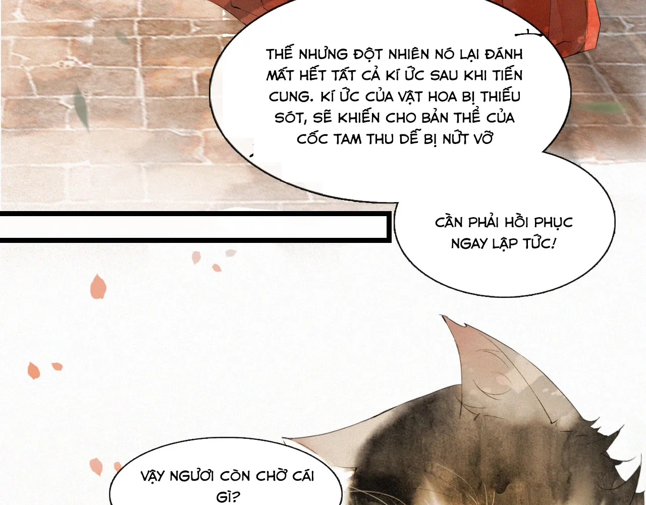Tử cấm - Ngự miêu phòng Chap 0 - Next Chap 1