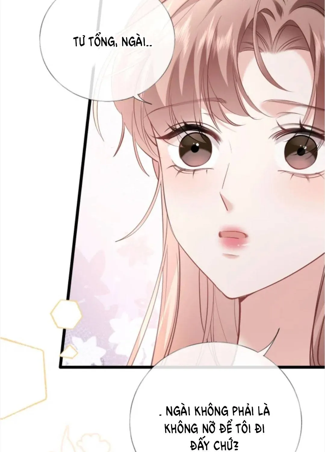 Từ Chối Hiến Thận, Tôi Trở Thành Mợ Út Của Người Yêu Cũ Chap 35 - Next Chap 36