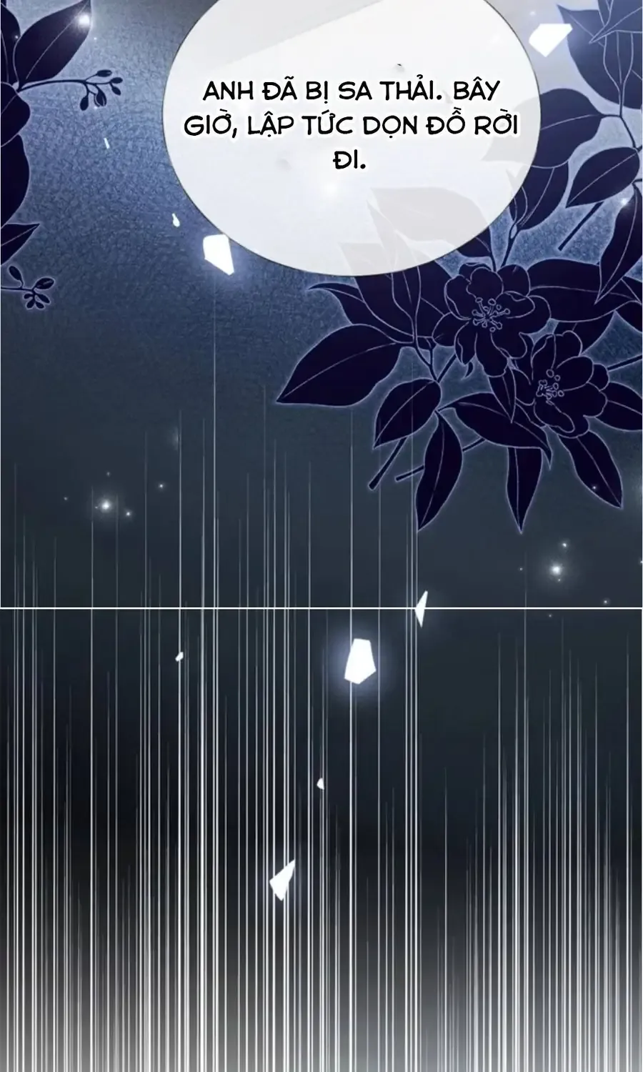 Từ Chối Hiến Thận, Tôi Trở Thành Mợ Út Của Người Yêu Cũ Chap 37 - Next Chap 38