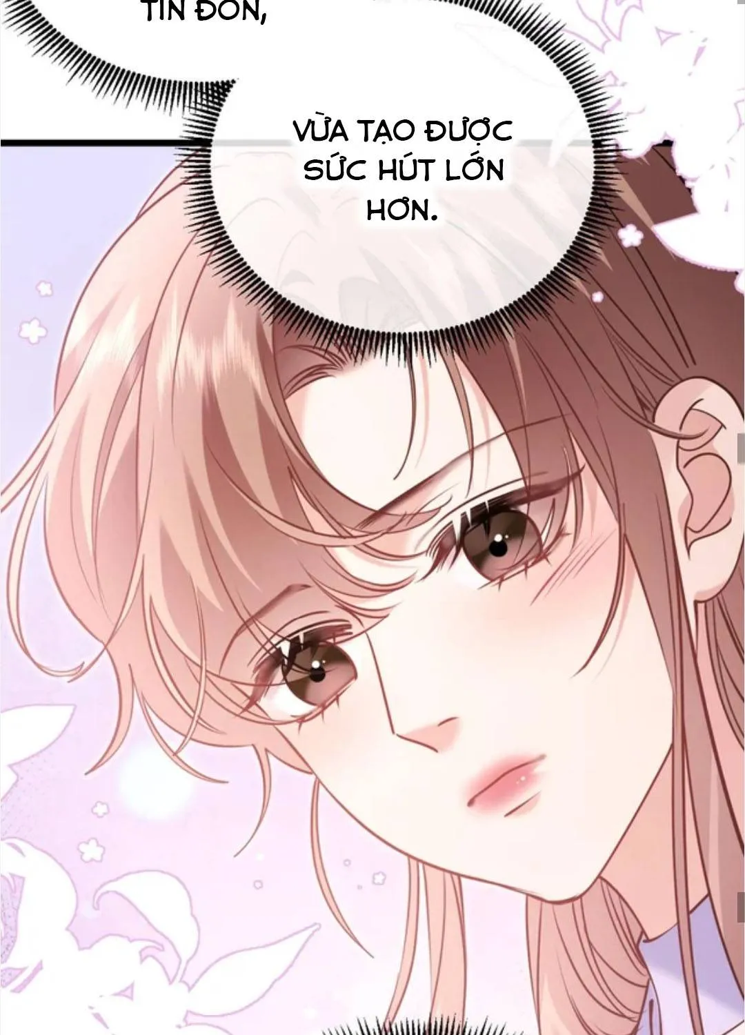 Từ Chối Hiến Thận, Tôi Trở Thành Mợ Út Của Người Yêu Cũ Chap 38 - Next Chap 39