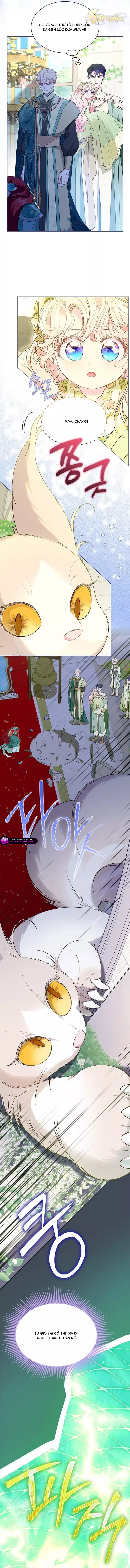 Từ Chối Sủng Ái Thì Sao Lại Bị Ám Ảnh Chap 46 - Next Chap 47