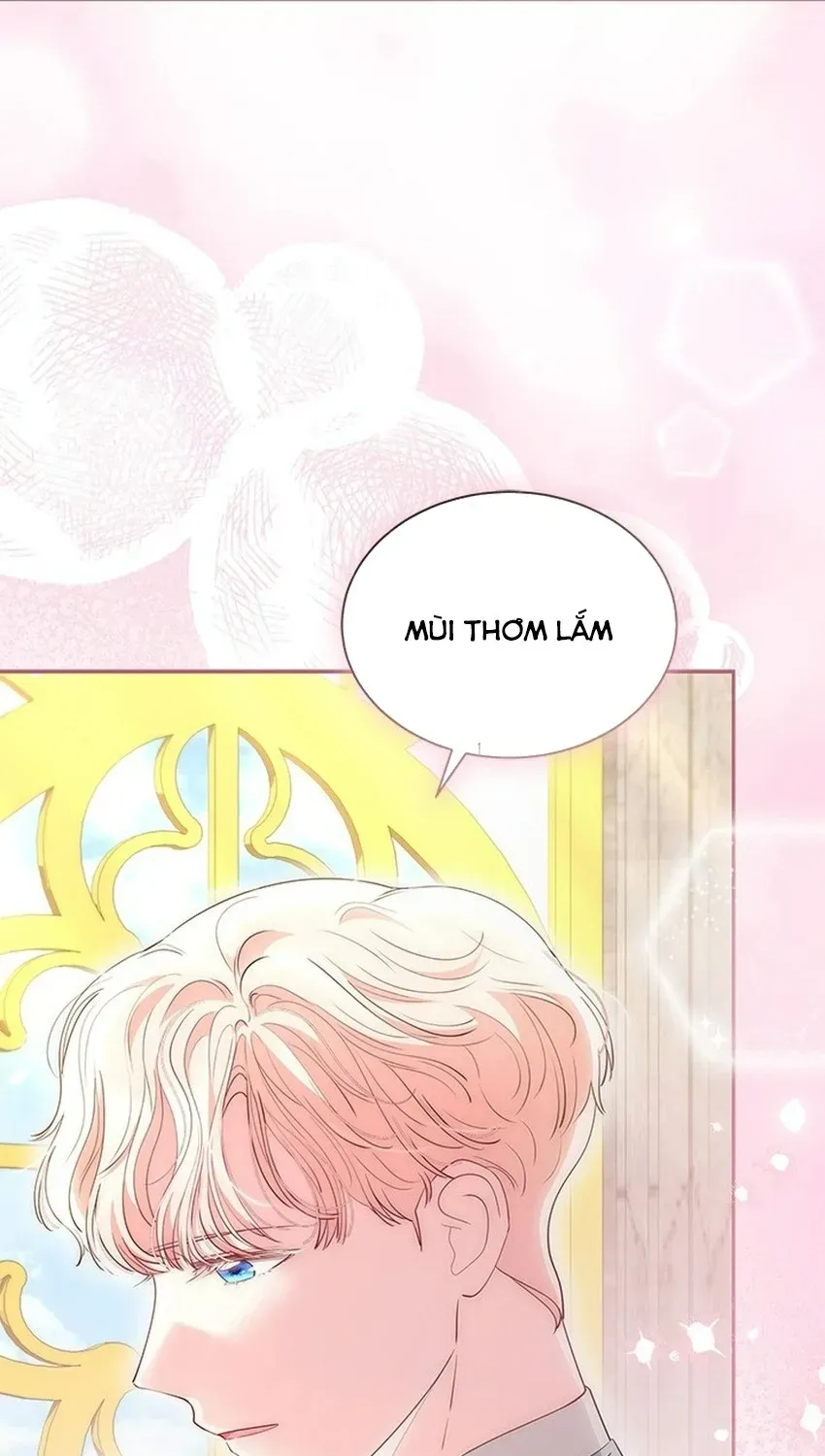 Từ Chối Sủng Ái Thì Sao Lại Bị Ám Ảnh Chap 81 - Next Chap 82