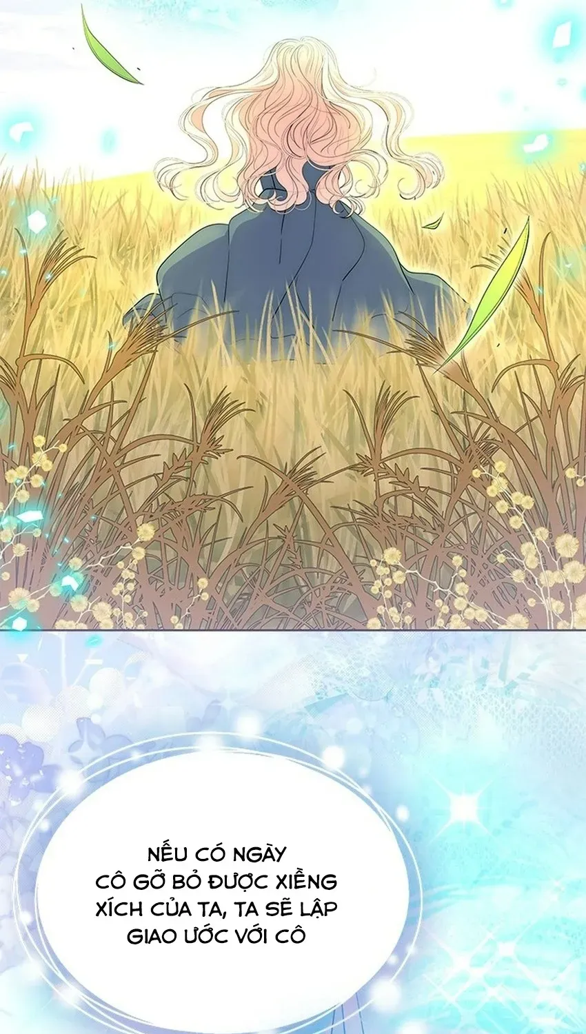 Từ Chối Sủng Ái Thì Sao Lại Bị Ám Ảnh Chap 81 - Next Chap 82