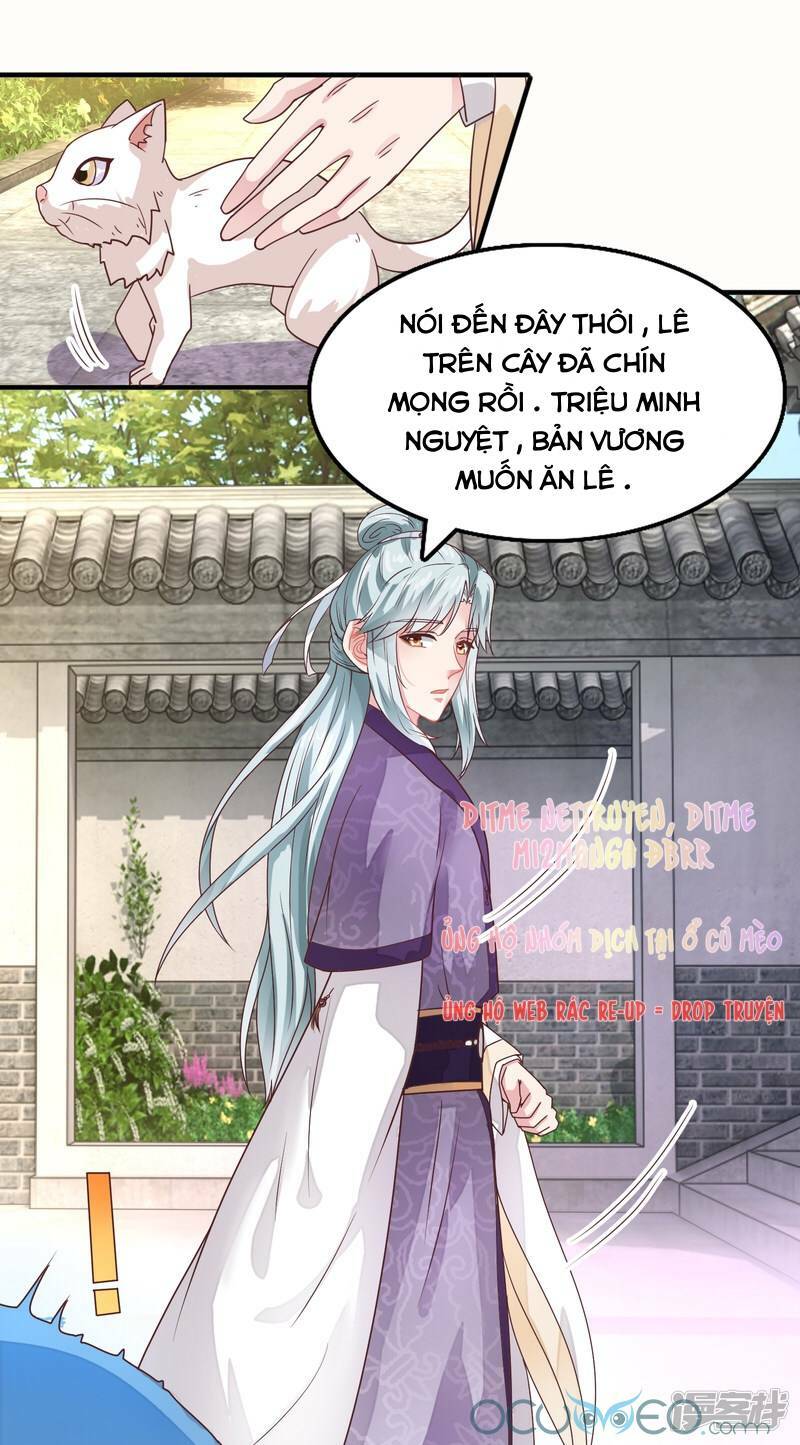 Tư Sủng Âm Dương Phi Chap 16 - Next Chap 17