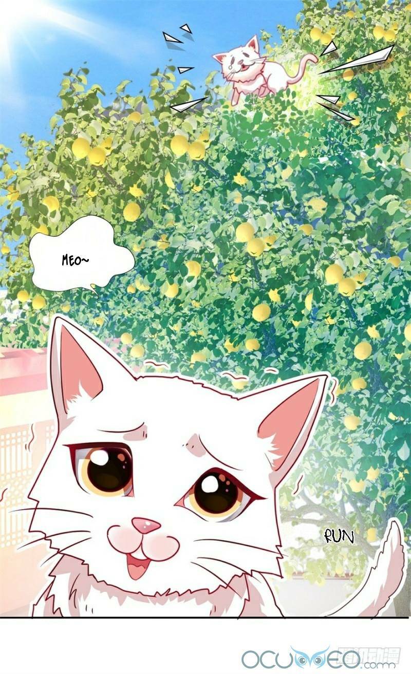 Tư Sủng Âm Dương Phi Chap 9 - Next Chap 10