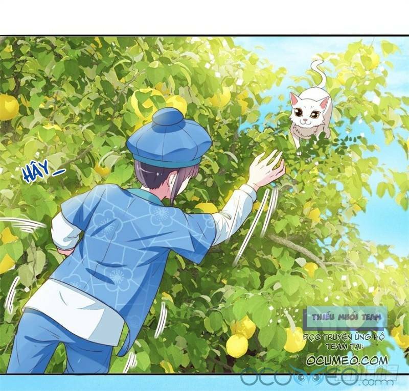 Tư Sủng Âm Dương Phi Chap 9 - Next Chap 10