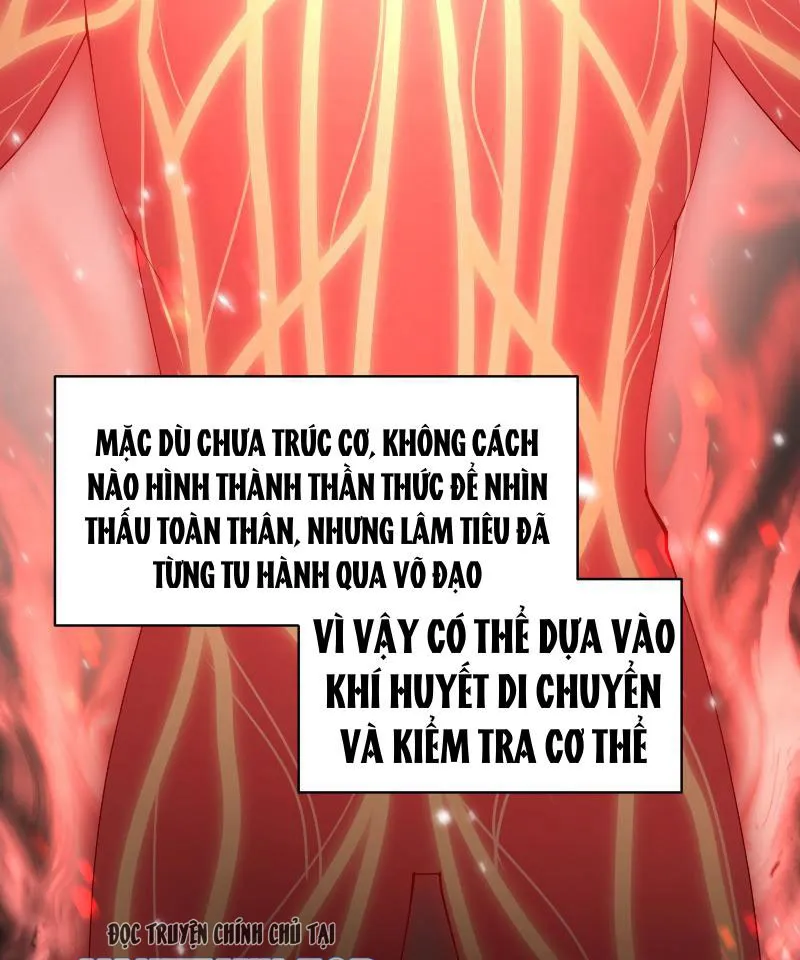 Tu Tiên Bắt Đầu Từ Việc Bị Bạn Bè Xa Lánh Chap 1 - Next Chap 2