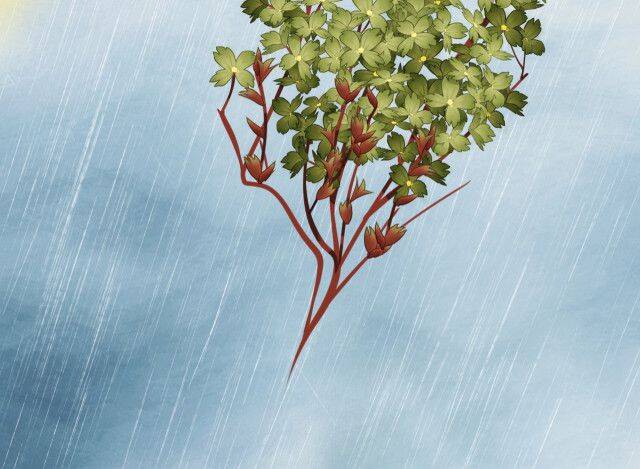 Tướng Quân, Cẩn Thận Chó Dữ Chap 12 - Next Chap 13