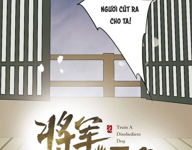 Tướng Quân, Cẩn Thận Chó Dữ Chap 6 - Next Chap 7