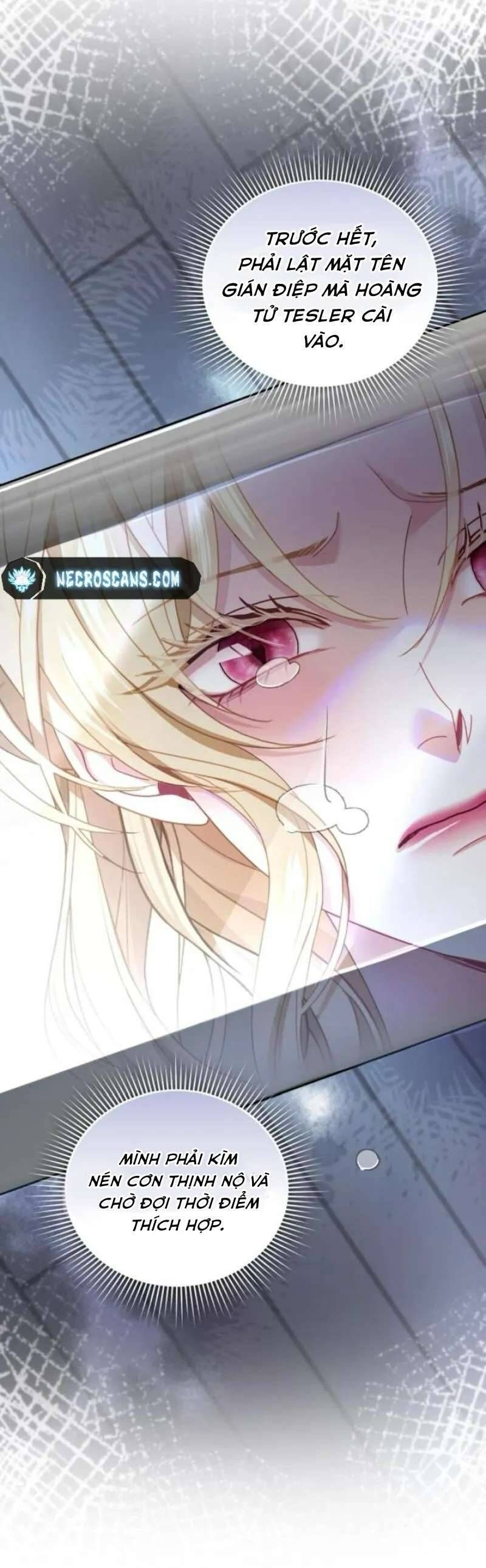 Tuy Là Hoàng Hậu Thay Thế Nhưng Tôi Lại Đánh Mất Đêm Đầu Tiên Chap 24 - Next Chap 25