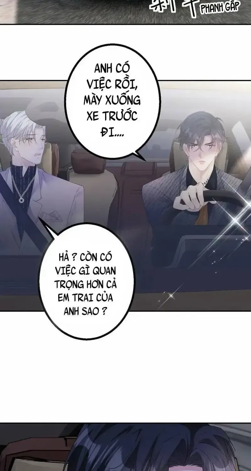Tùy Ý Thiêu Đốt Lửa Tình Chap 41 - Next Chap 42