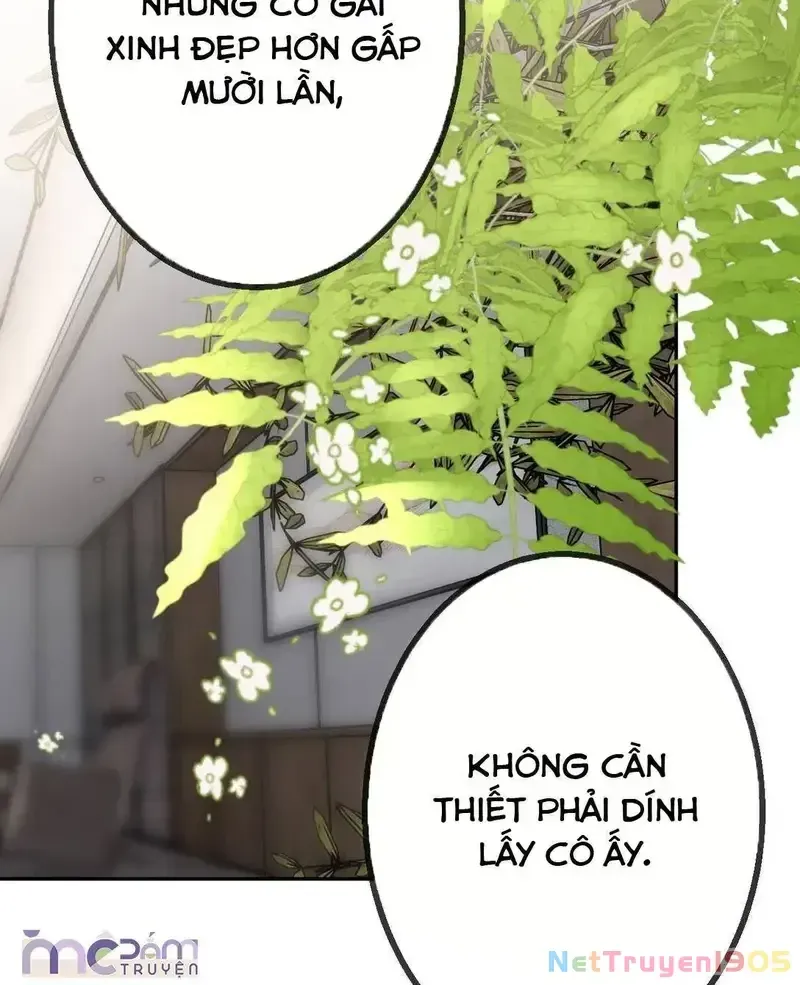 Tùy Ý Thiêu Đốt Lửa Tình Chap 46 - Next Chap 47