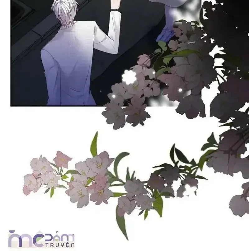 Tùy Ý Thiêu Đốt Lửa Tình Chap 51 - Next Chap 52