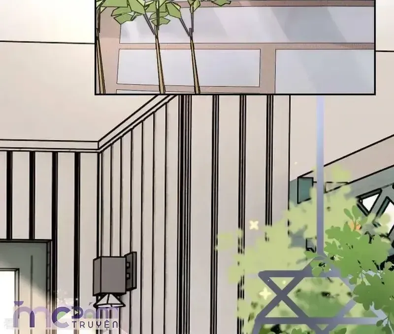 Tùy Ý Thiêu Đốt Lửa Tình Chap 57 - Next Chap 58