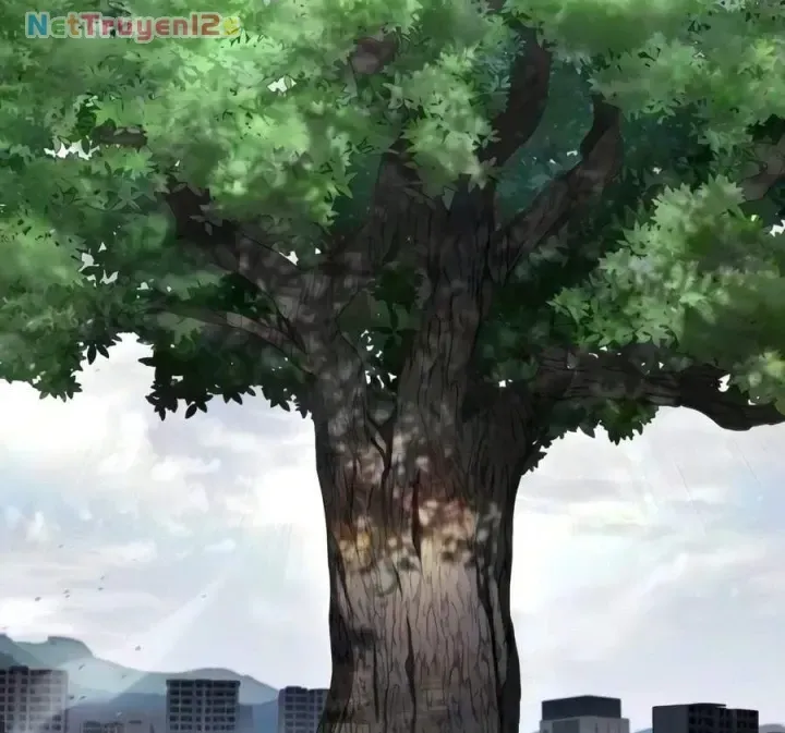 Tuyệt Đối Dân Cư Chap 92 - Next Chap 93