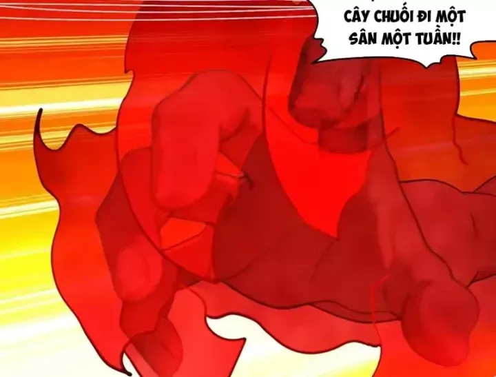 Tuyệt Sắc đạo Lữ đều Nói Ngô Hoàng Thể Chất Vô địch Chap 455 - Next Chap 456