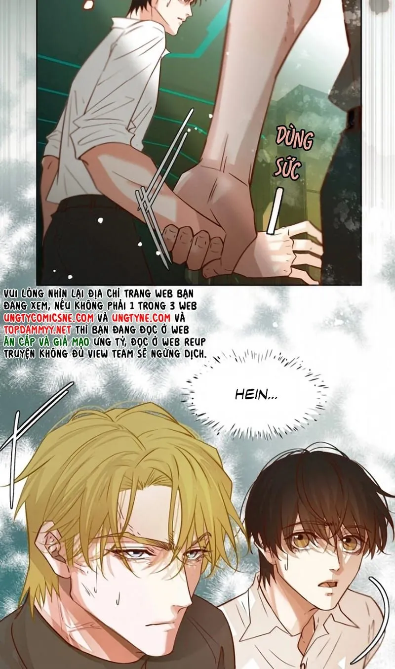 Tuyệt Xử Phùng Sinh Chap 124 - Next Chap 125