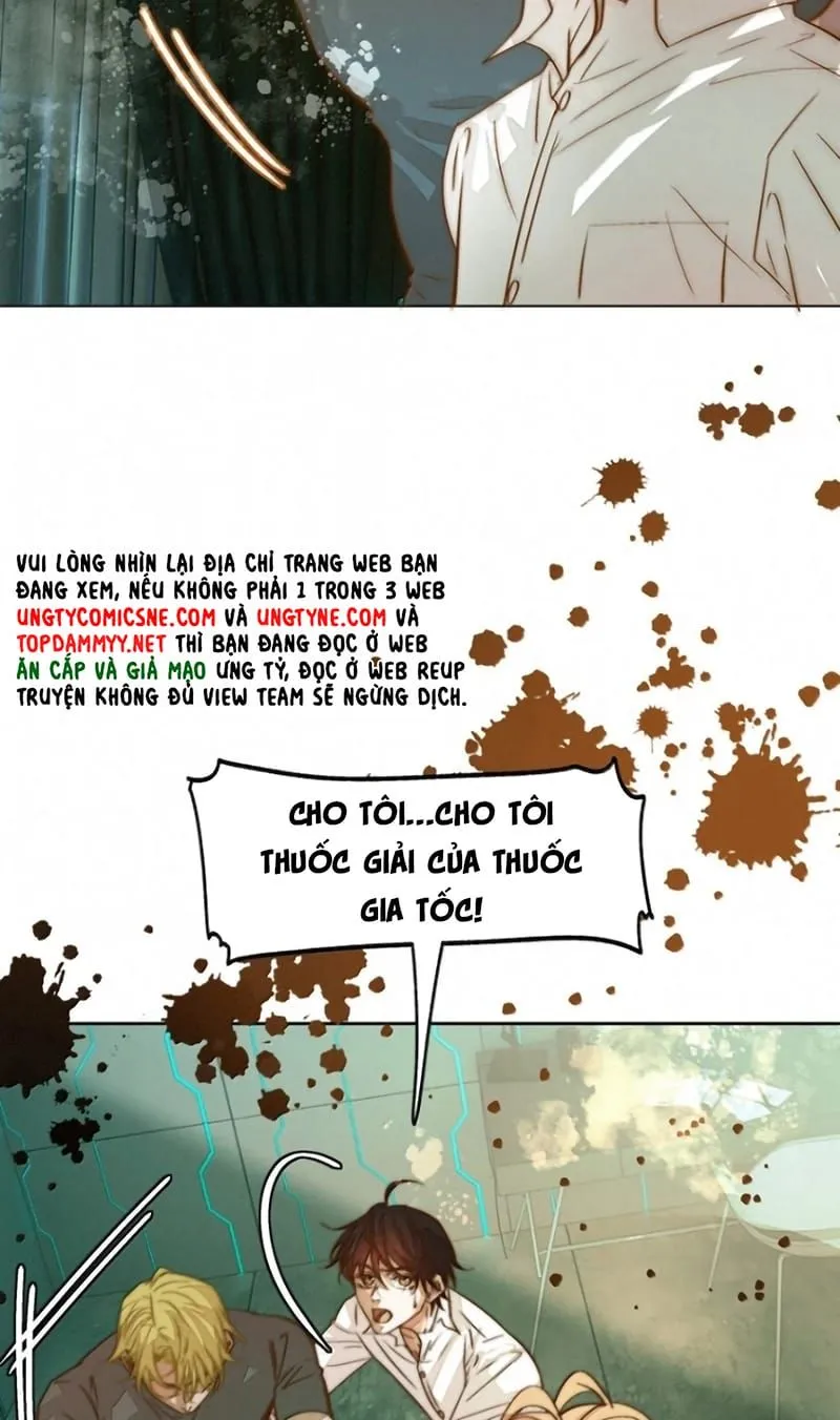 Tuyệt Xử Phùng Sinh Chap 124 - Next Chap 125