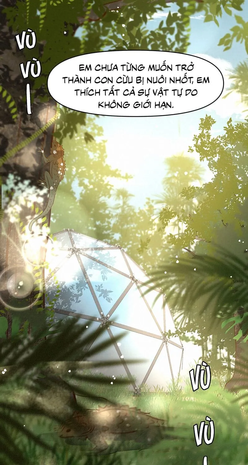 Tuyệt Xử Phùng Sinh Chap 128 - Next Chap 129