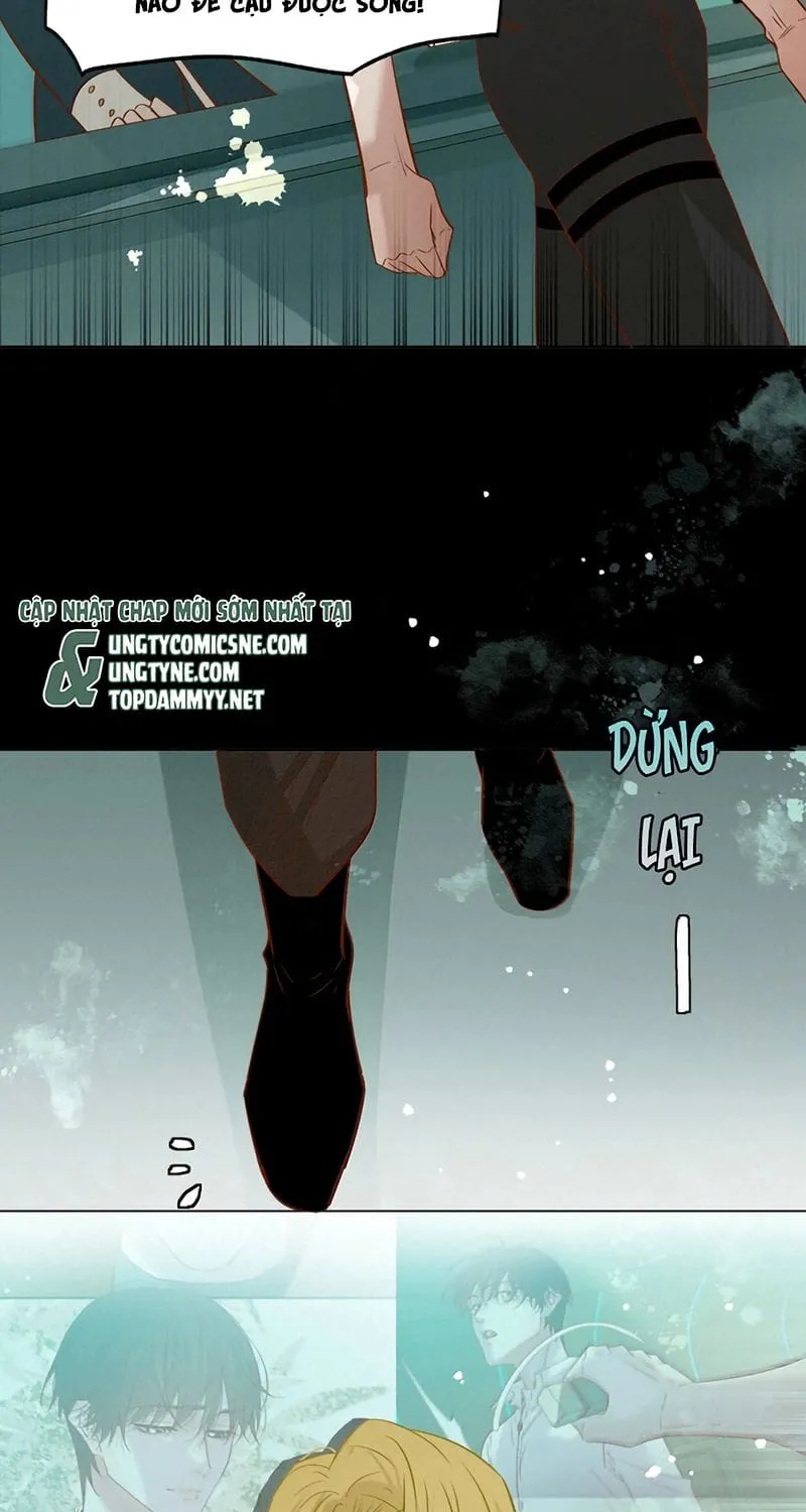 Tuyệt Xử Phùng Sinh Chap 131 - Next Chap 132