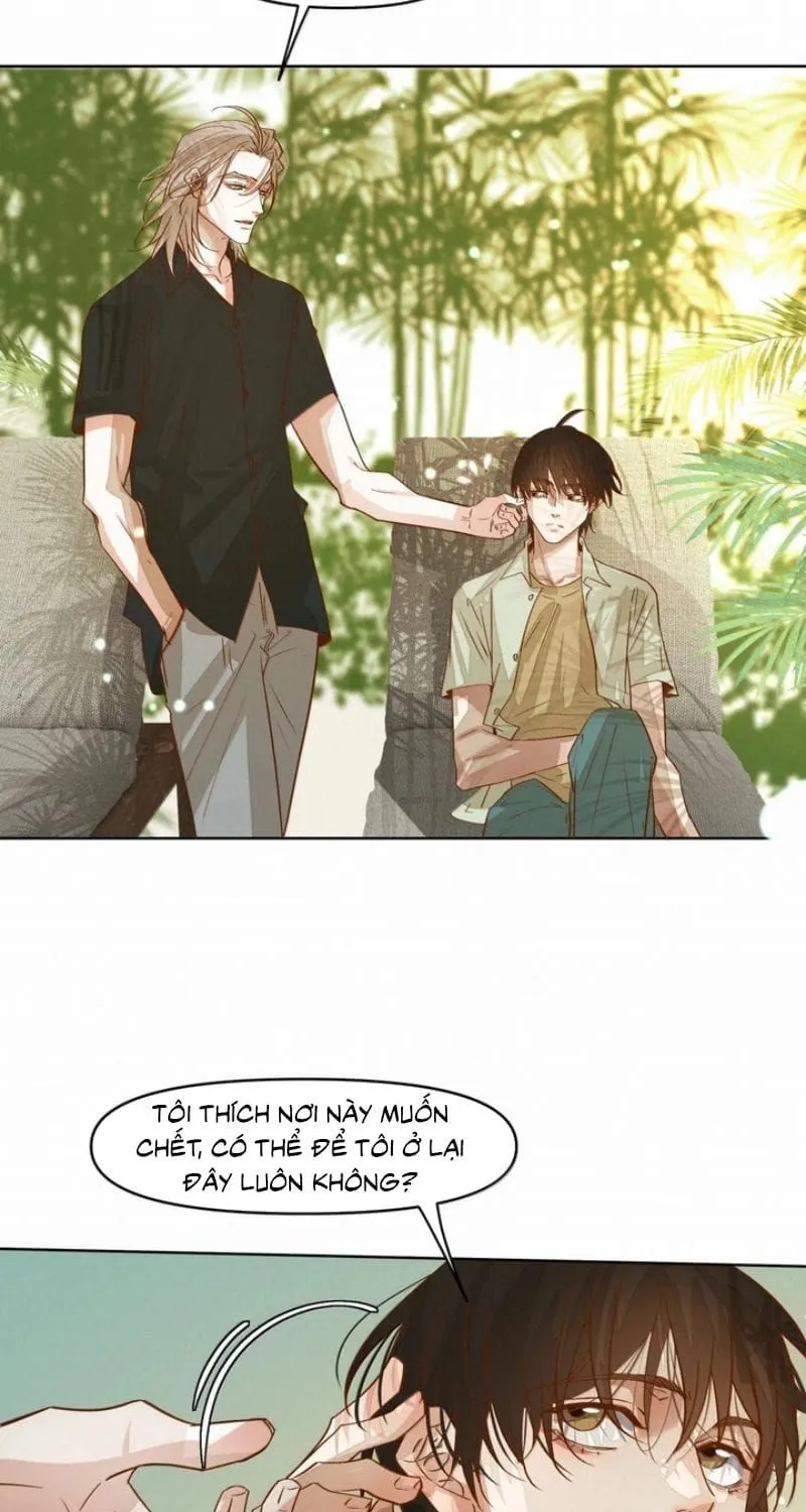 Tuyệt Xử Phùng Sinh Chap 132 - Next Chap 133