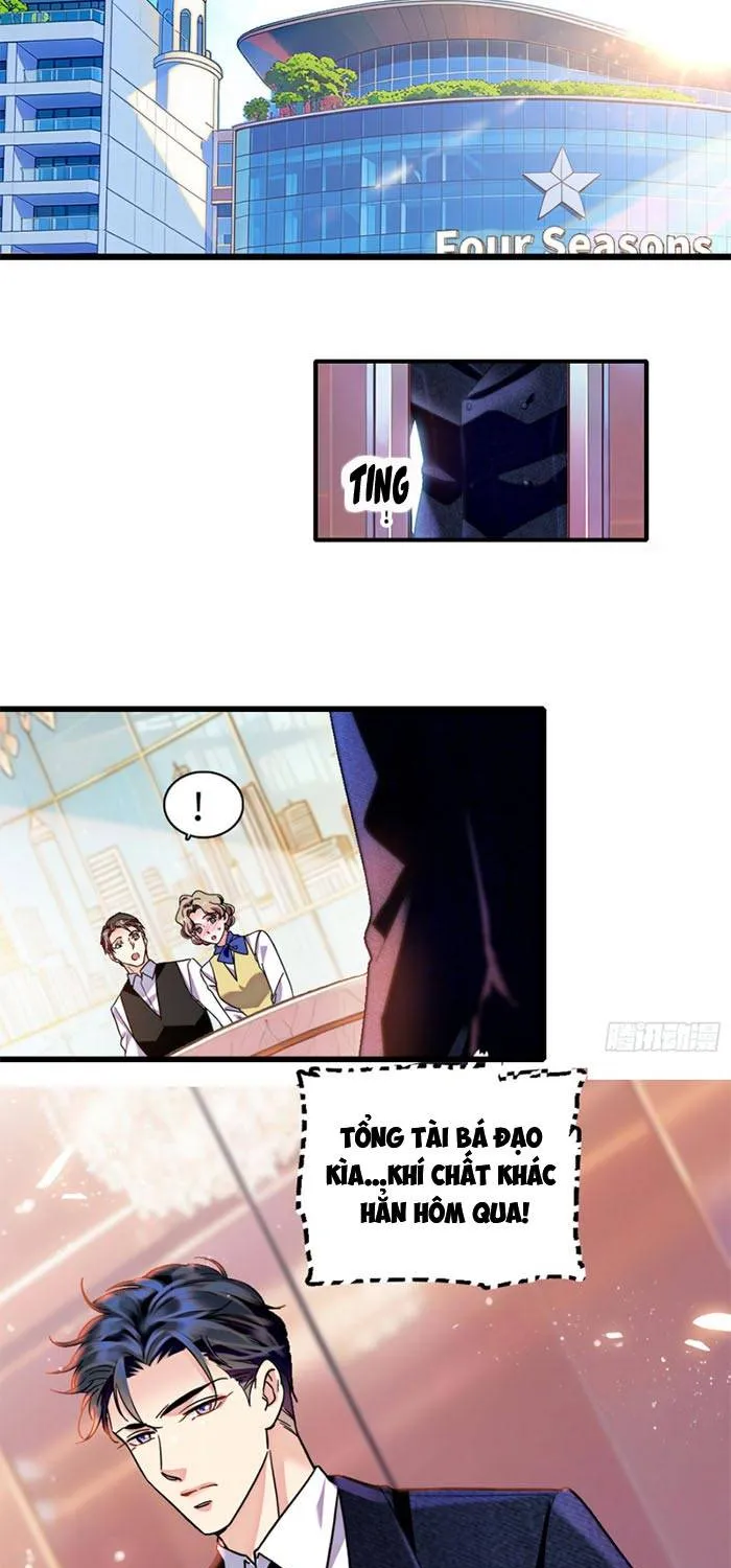Tỷ Phú Ở Rể Chap 12 - Next Chap 13