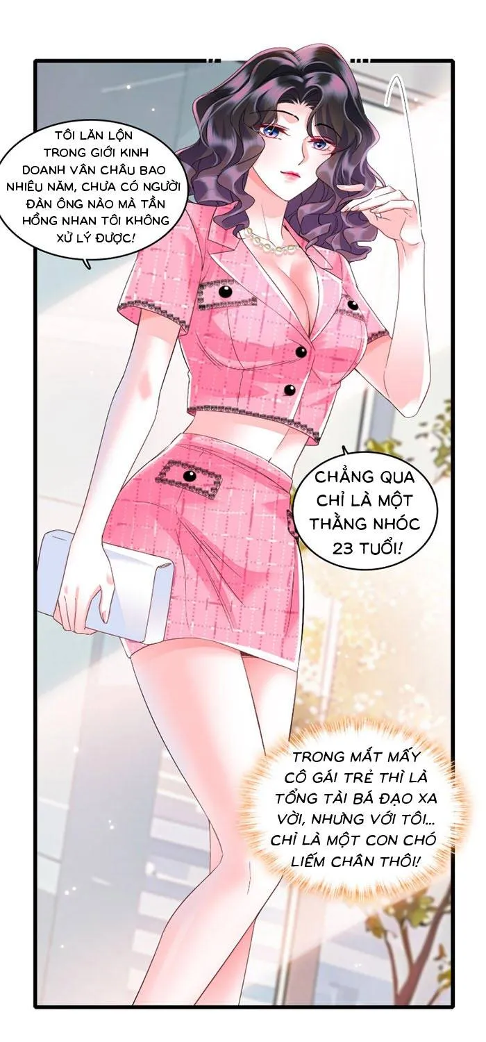Tỷ Phú Ở Rể Chap 13 - Next Chap 14