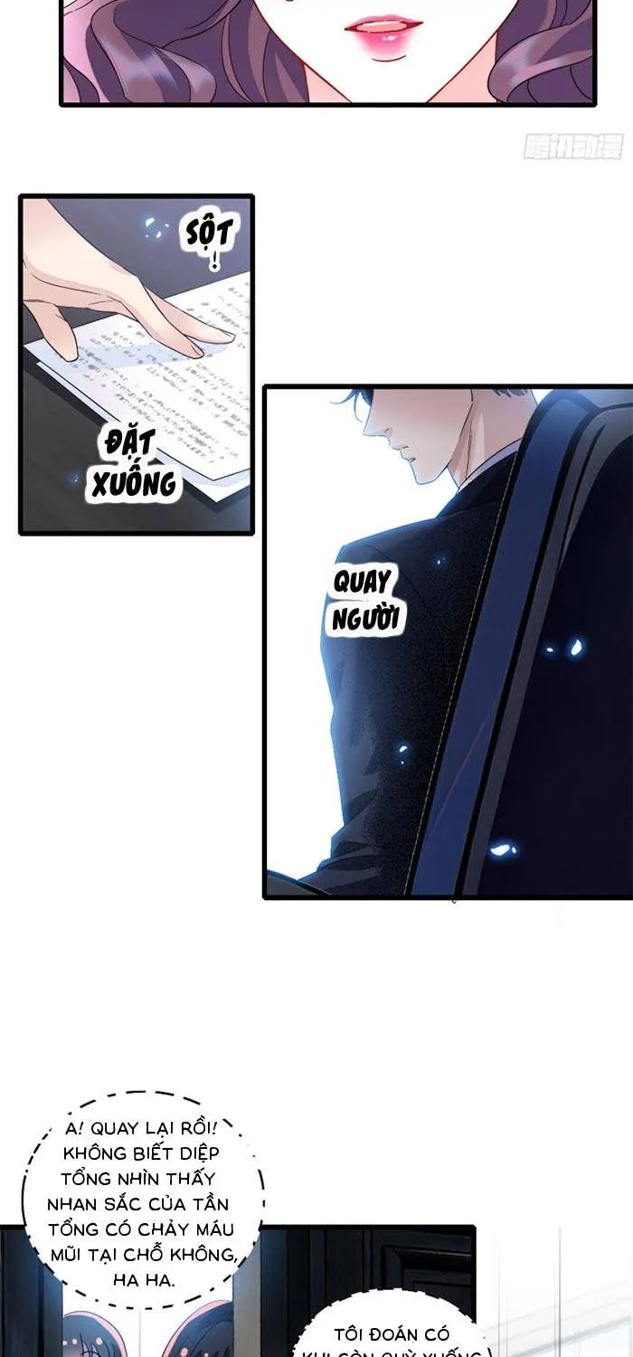 Tỷ Phú Ở Rể Chap 13 - Next Chap 14