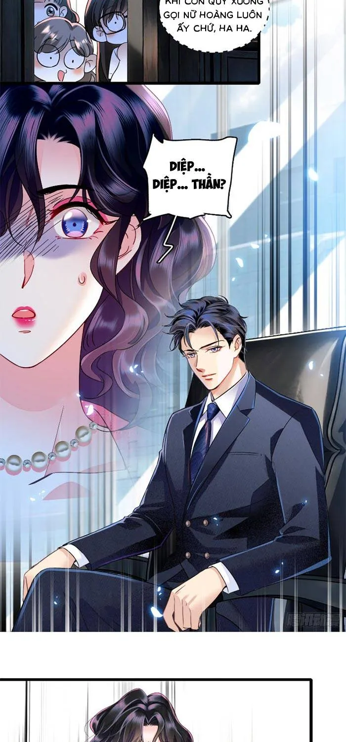 Tỷ Phú Ở Rể Chap 13 - Next Chap 14