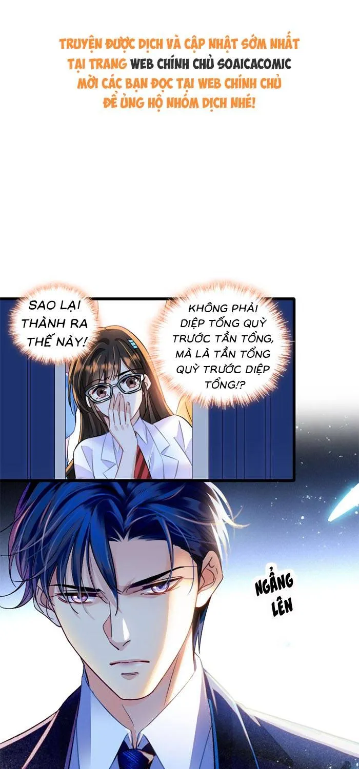 Tỷ Phú Ở Rể Chap 14 - Next Chap 15