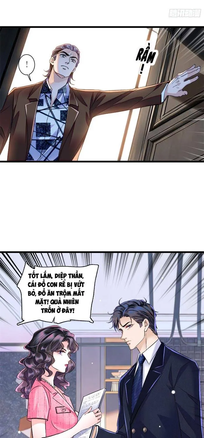 Tỷ Phú Ở Rể Chap 14 - Next Chap 15