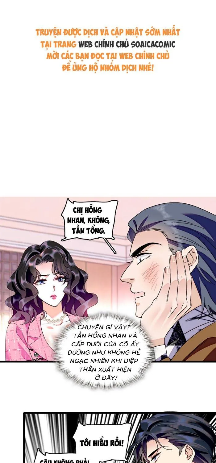 Tỷ Phú Ở Rể Chap 15 - Next Chap 16