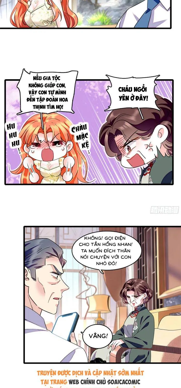 Tỷ Phú Ở Rể Chap 15 - Next Chap 16