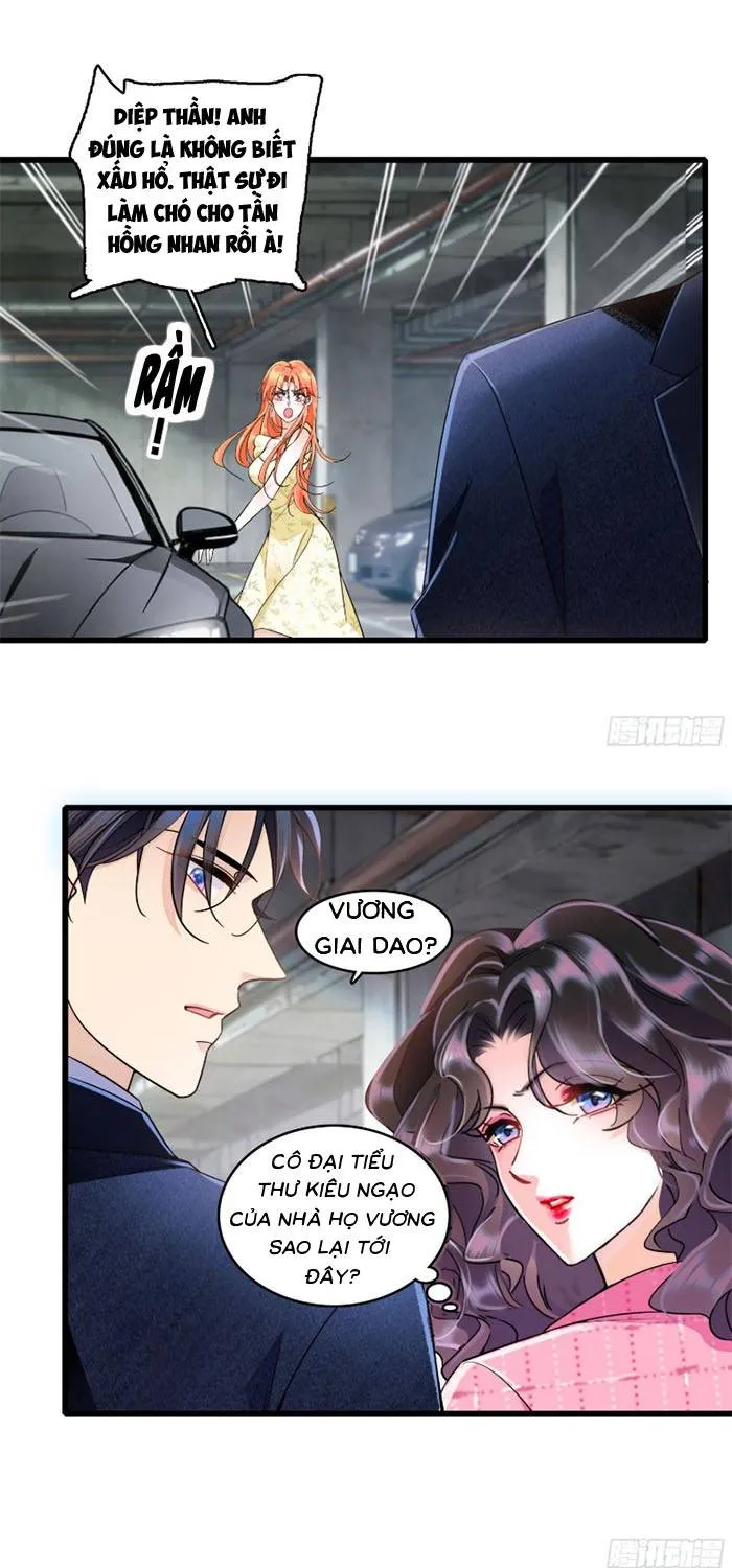Tỷ Phú Ở Rể Chap 16 - Next Chap 17