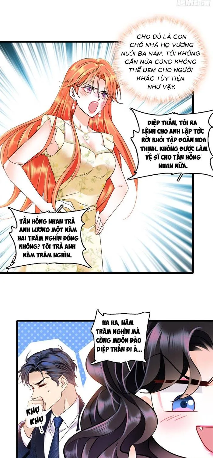 Tỷ Phú Ở Rể Chap 16 - Next Chap 17