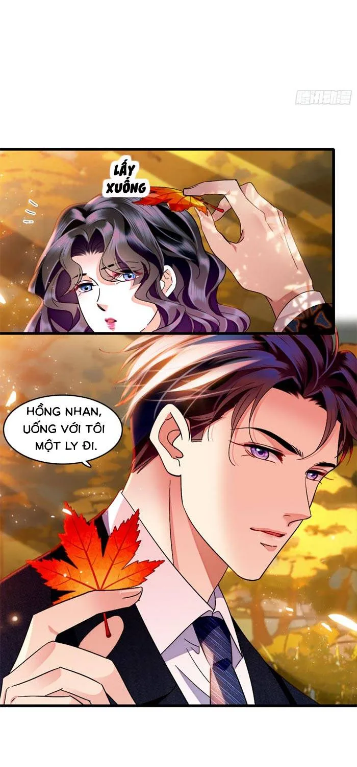 Tỷ Phú Ở Rể Chap 17 - Next Chap 18