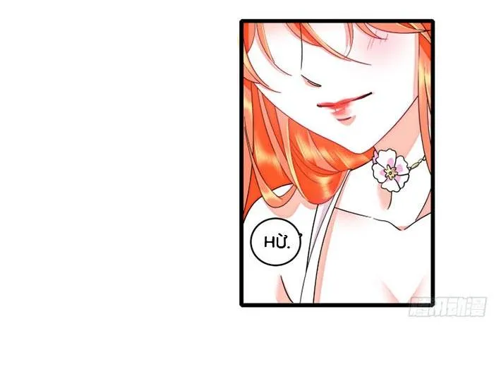 Tỷ Phú Ở Rể Chap 17 - Next Chap 18