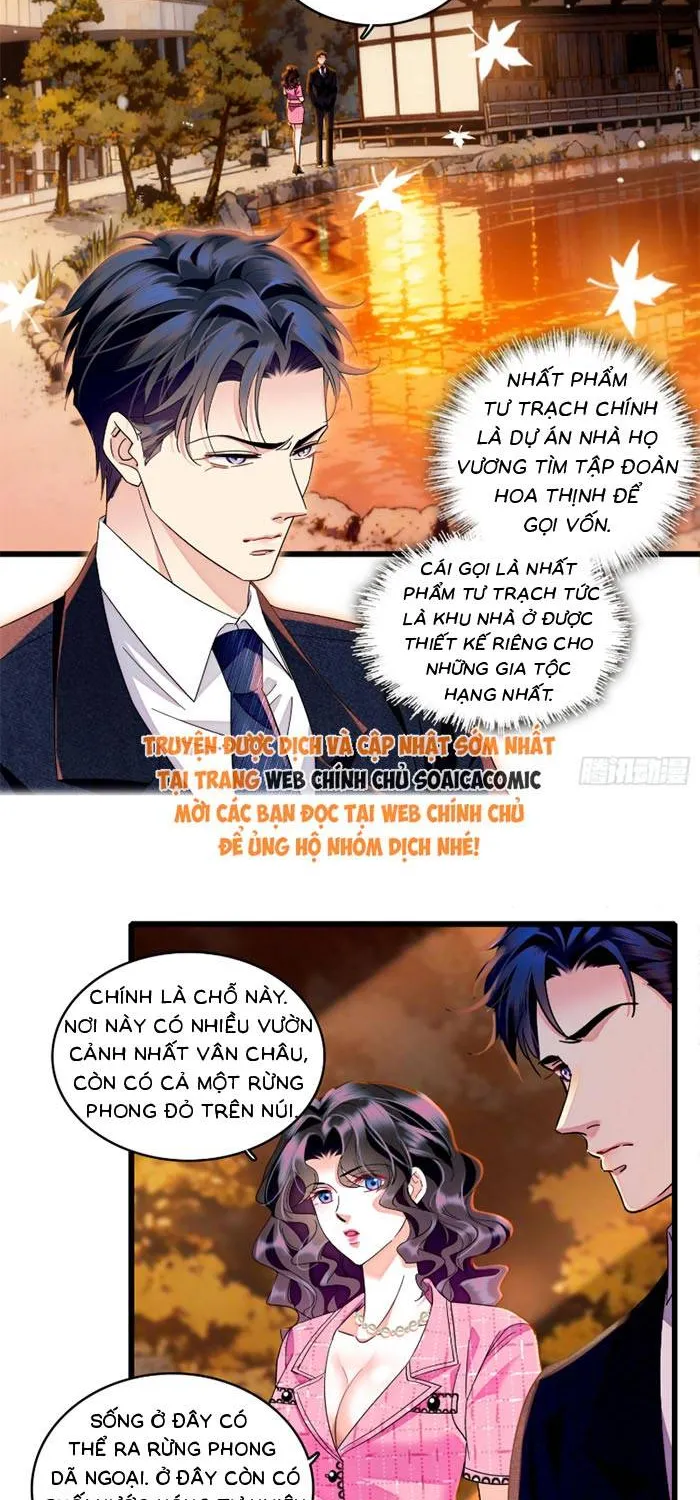 Tỷ Phú Ở Rể Chap 17 - Next Chap 18
