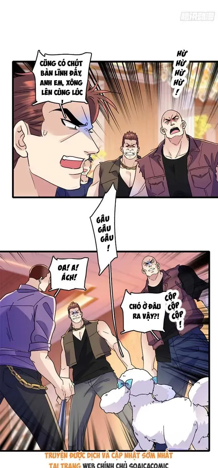 Tỷ Phú Ở Rể Chap 18 - Next Chap 19