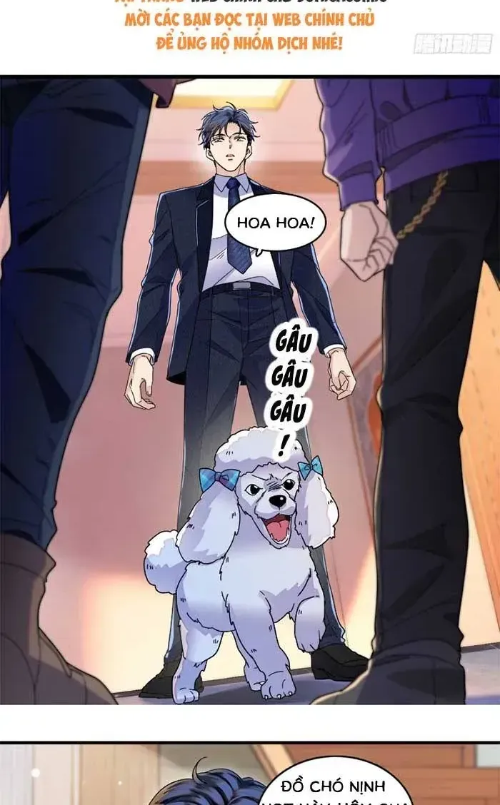 Tỷ Phú Ở Rể Chap 18 - Next Chap 19