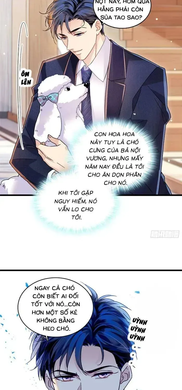 Tỷ Phú Ở Rể Chap 18 - Next Chap 19