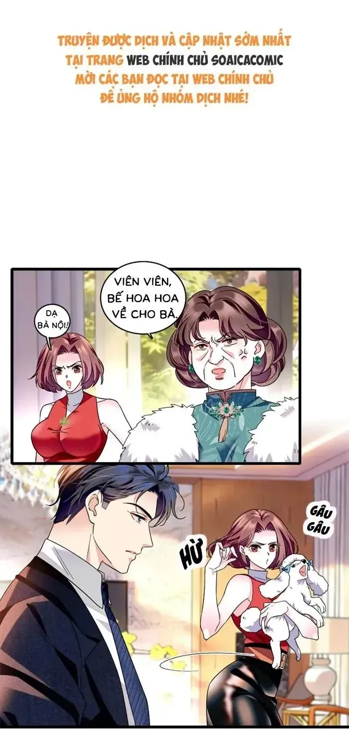 Tỷ Phú Ở Rể Chap 19 - Next Chap 20