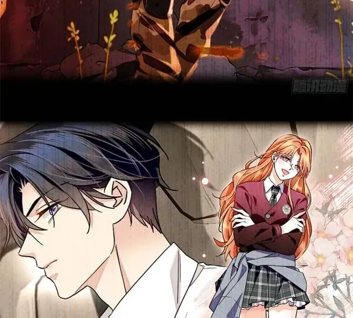 Tỷ Phú Ở Rể Chap 19 - Next Chap 20