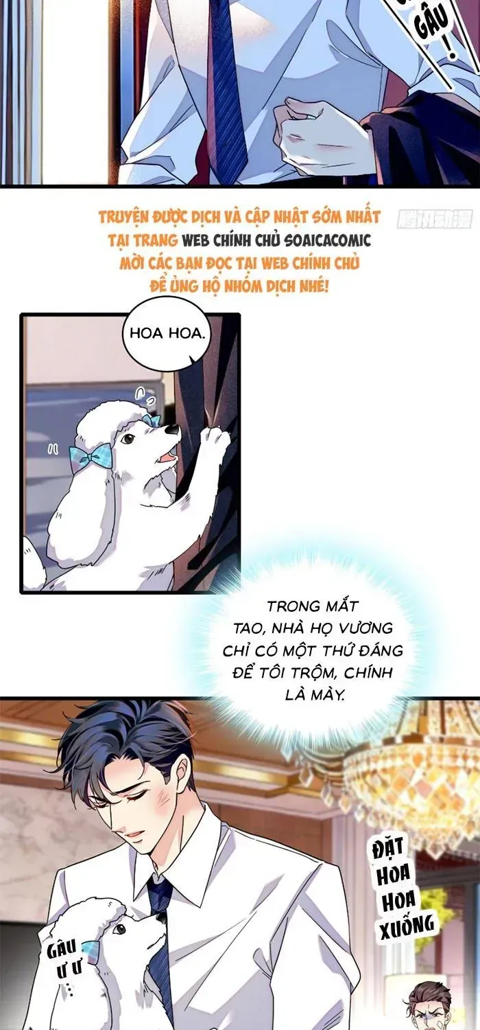 Tỷ Phú Ở Rể Chap 19 - Next Chap 20