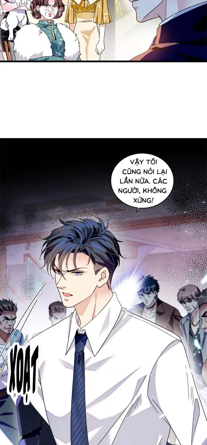 Tỷ Phú Ở Rể Chap 19 - Next Chap 20