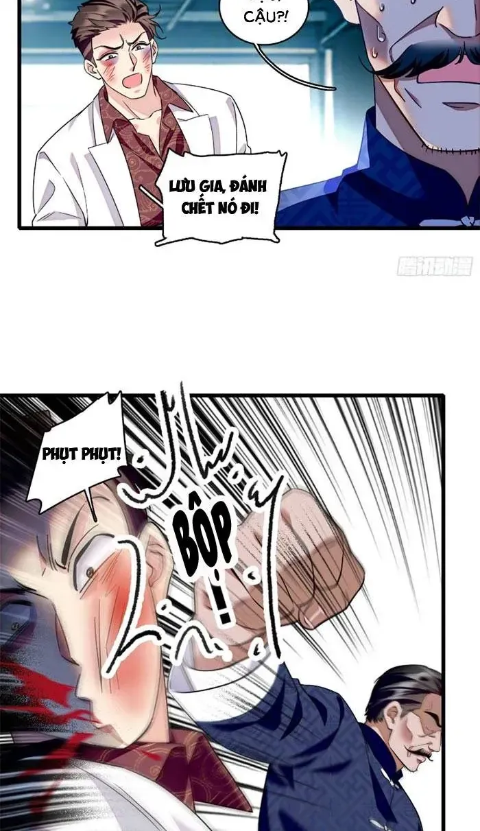 Tỷ Phú Ở Rể Chap 23 - Next Chap 24