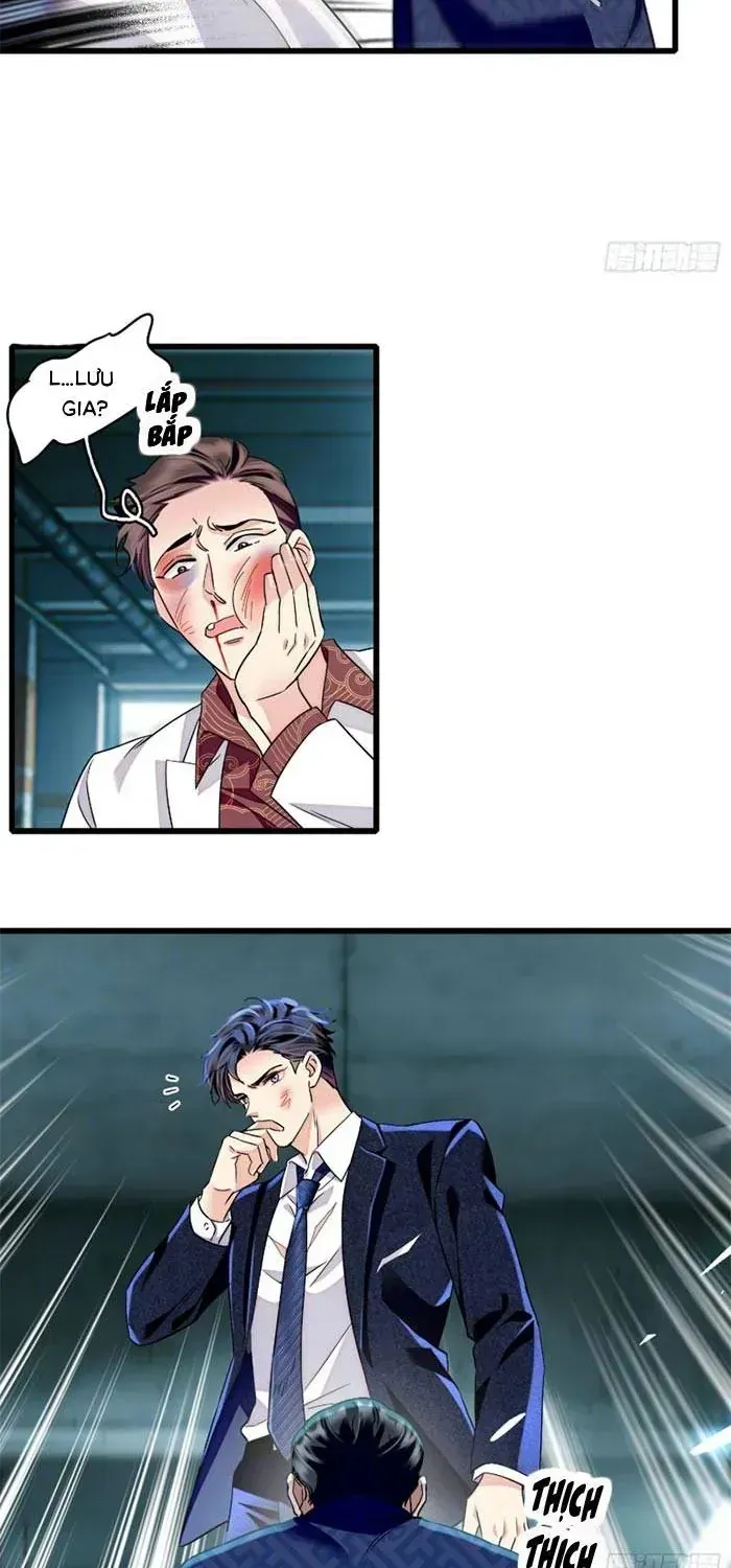 Tỷ Phú Ở Rể Chap 23 - Next Chap 24