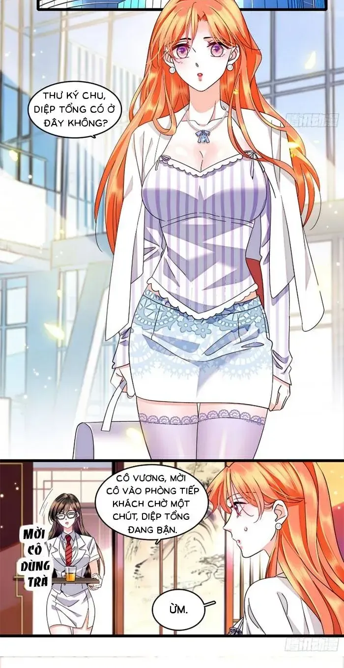 Tỷ Phú Ở Rể Chap 24 - Next Chap 25